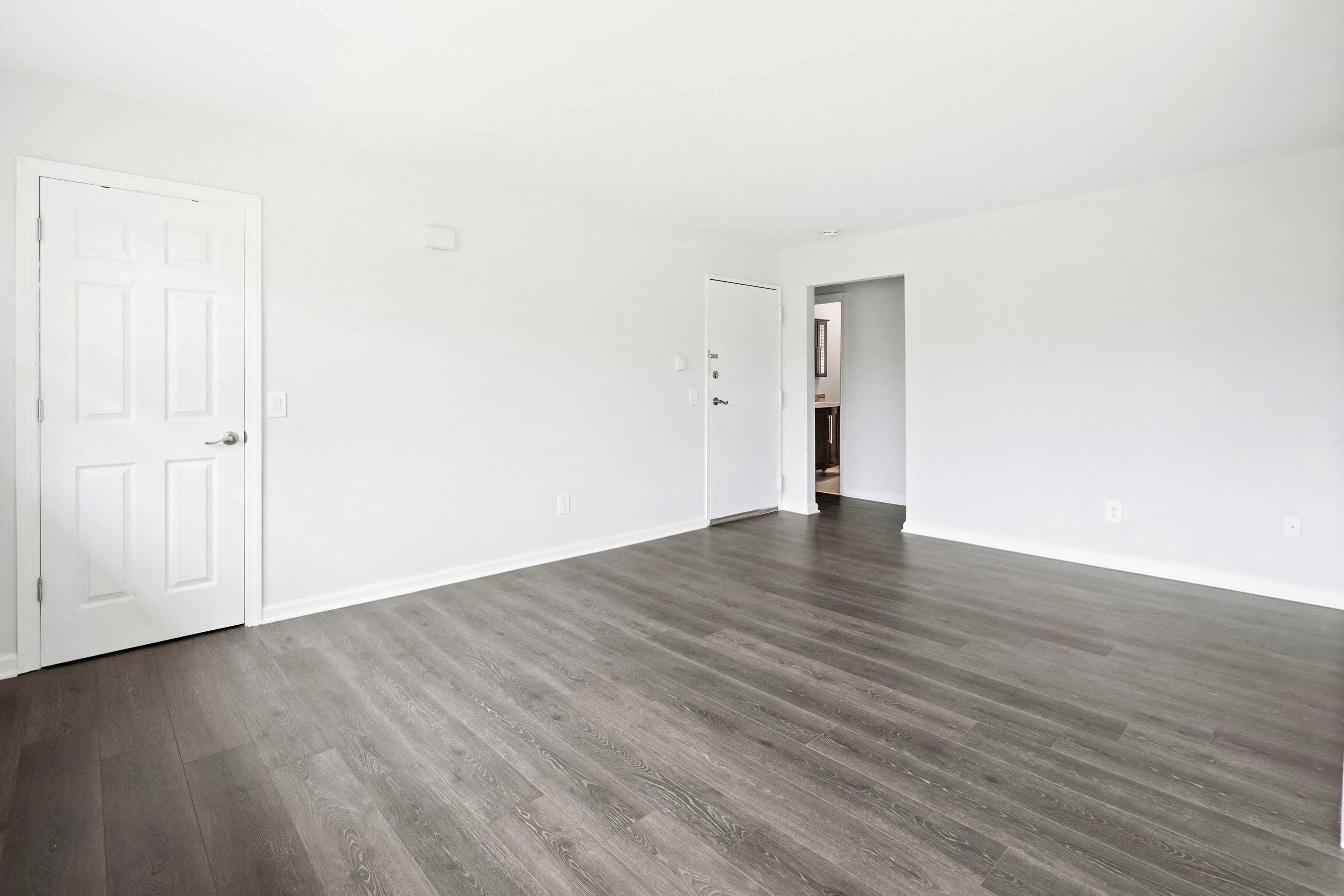 Gallery Photo 4